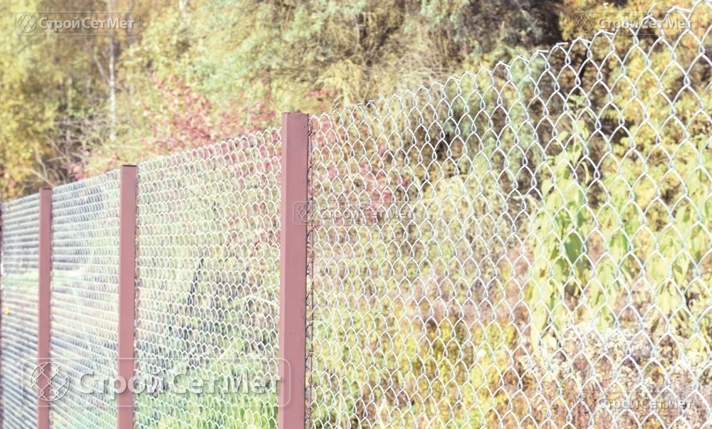 Фото 235. Забор из сетки рабицы 55 мм, толщина 2,5 мм