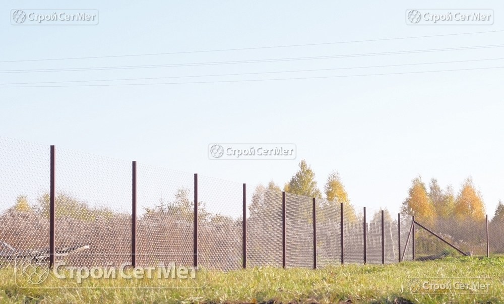 Фото 226. Забор из сетки рабицы 55 мм, толщина 2,5 мм
