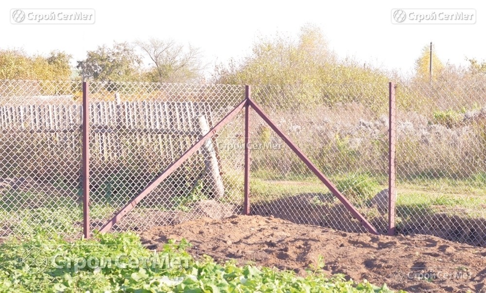 Фото 227. Забор из сетки рабицы 55 мм, толщина 2,5 мм